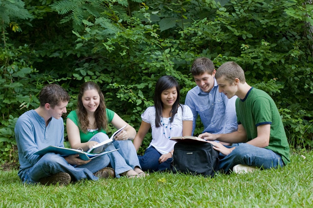 Students study outside on the lawn