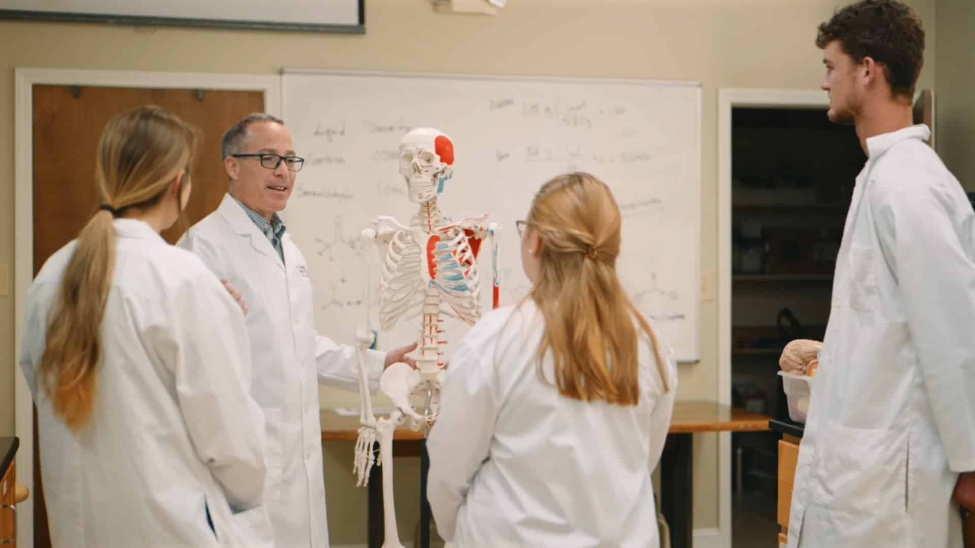 biology-video-still