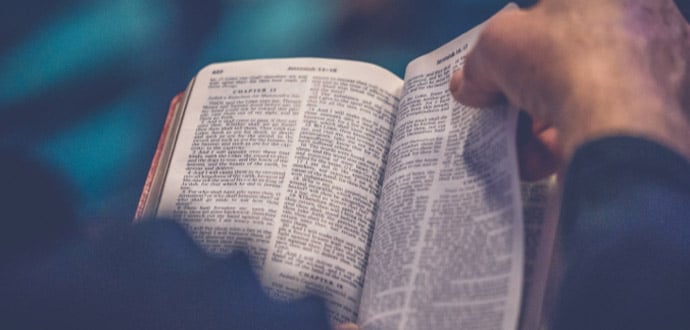 Person reading a bible