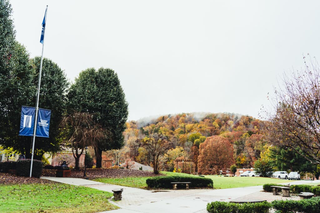 One foggy fall morning at LT.