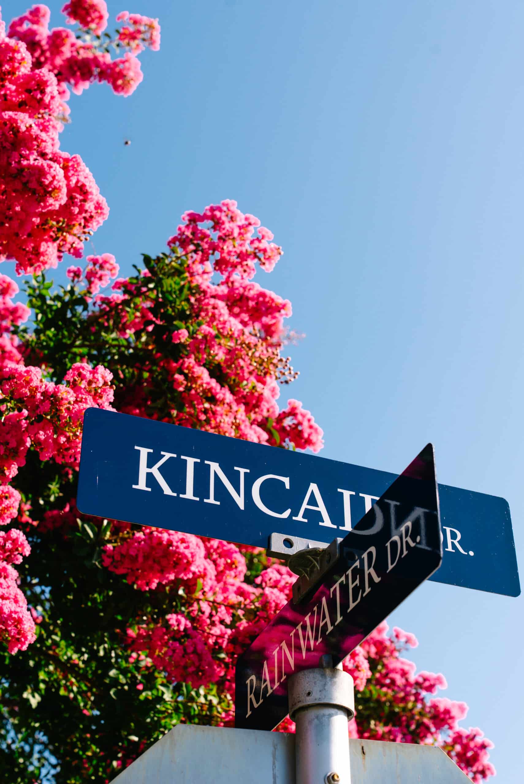 Kincaid Dr. street sign with beautiful crape myrtles in the background.